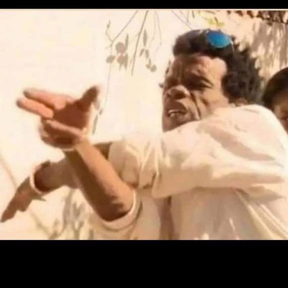 Meet your Posher, Quinn - Picture 1 of 1